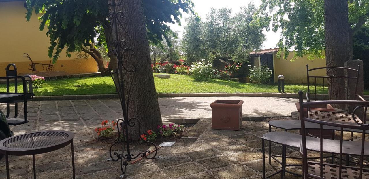 Bed and Breakfast Aquilamaior Fiumicino Exterior foto